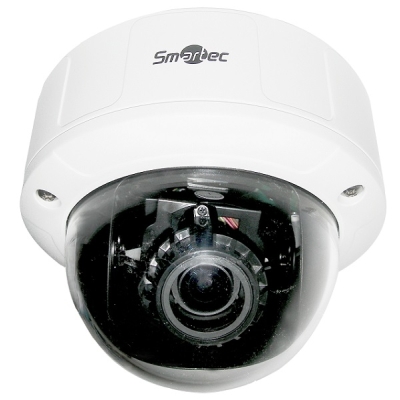 STC-IPM3551A/1 StarLight Купольная уличная IP-камера