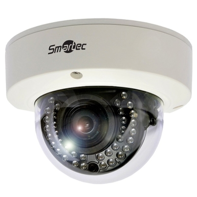 STC-IPM3598A/1 Купольная уличная IP-камера